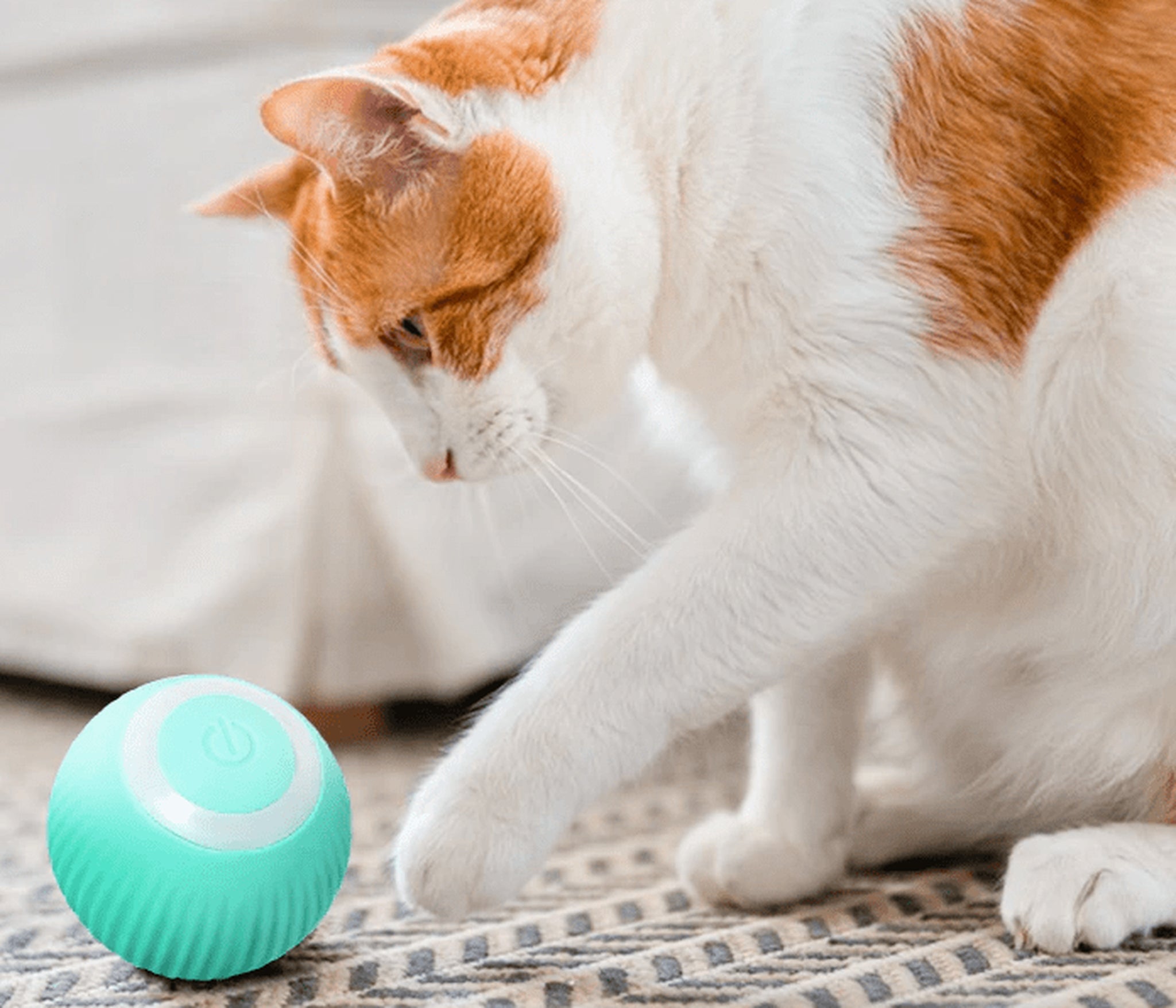 Night Hunter: Interactive Smart Ball for Cats