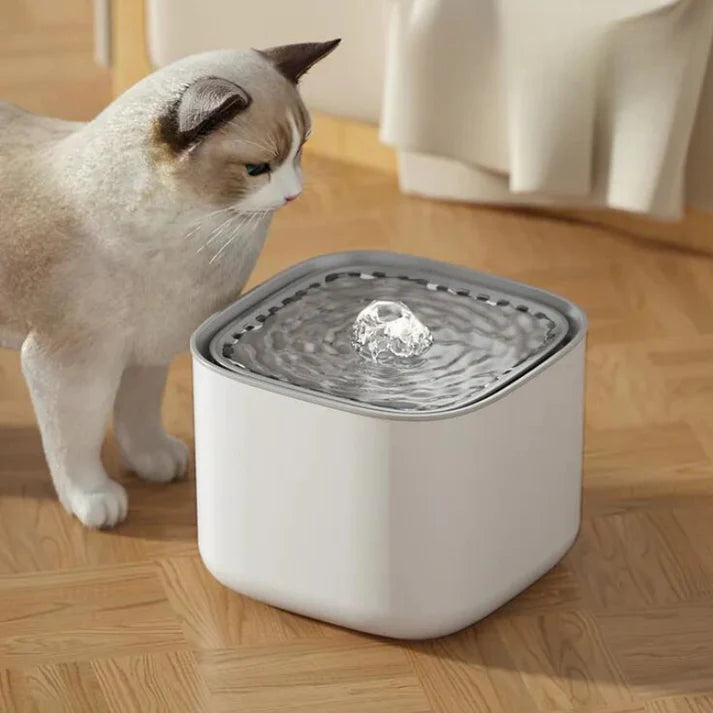 Pet Water Fountain