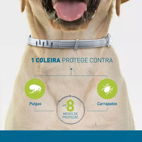 Pet Anti Flea And Tick Collars