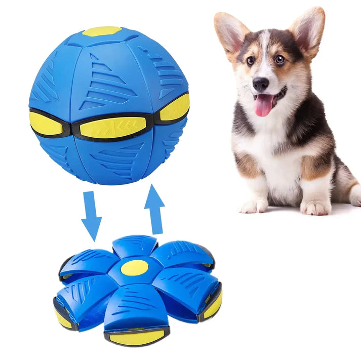 Space Ball: Transformable Flying Disc Dog Toy