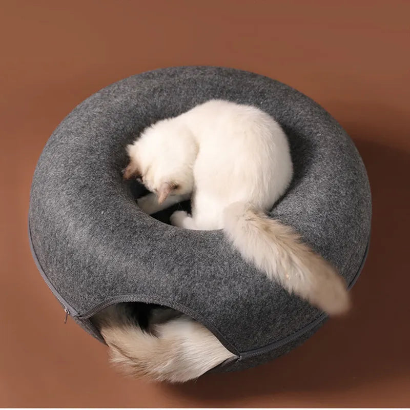 Play & Lounge: Dual-Use Donut Cat Bed and Interactive Tunnel