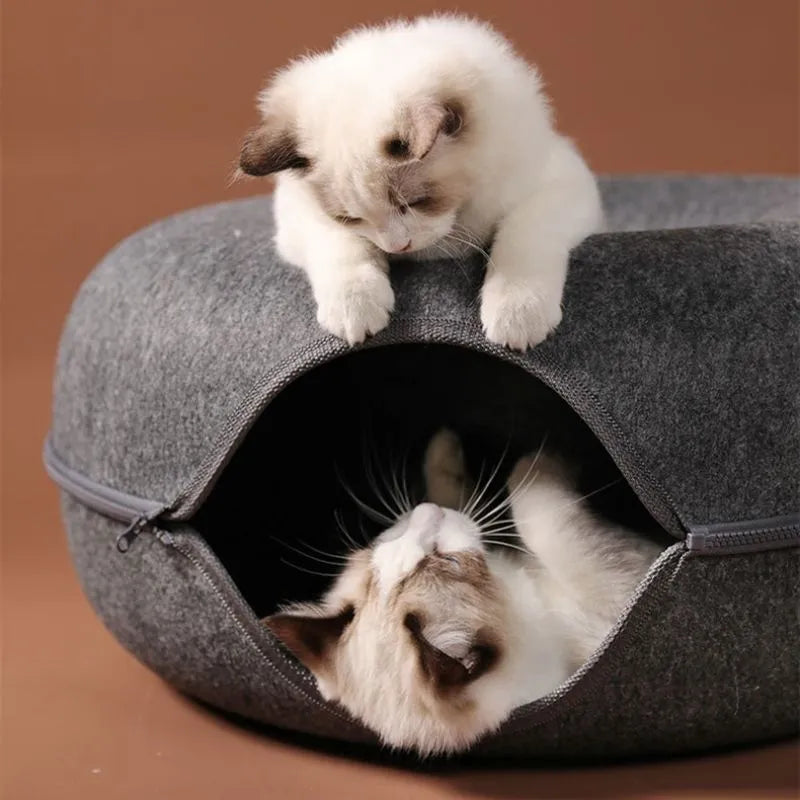 Play & Lounge: Dual-Use Donut Cat Bed and Interactive Tunnel