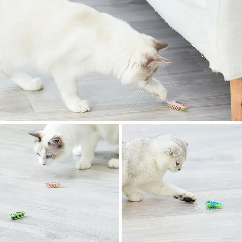 Bug-a-Boom: Fun Play Toy for Cats