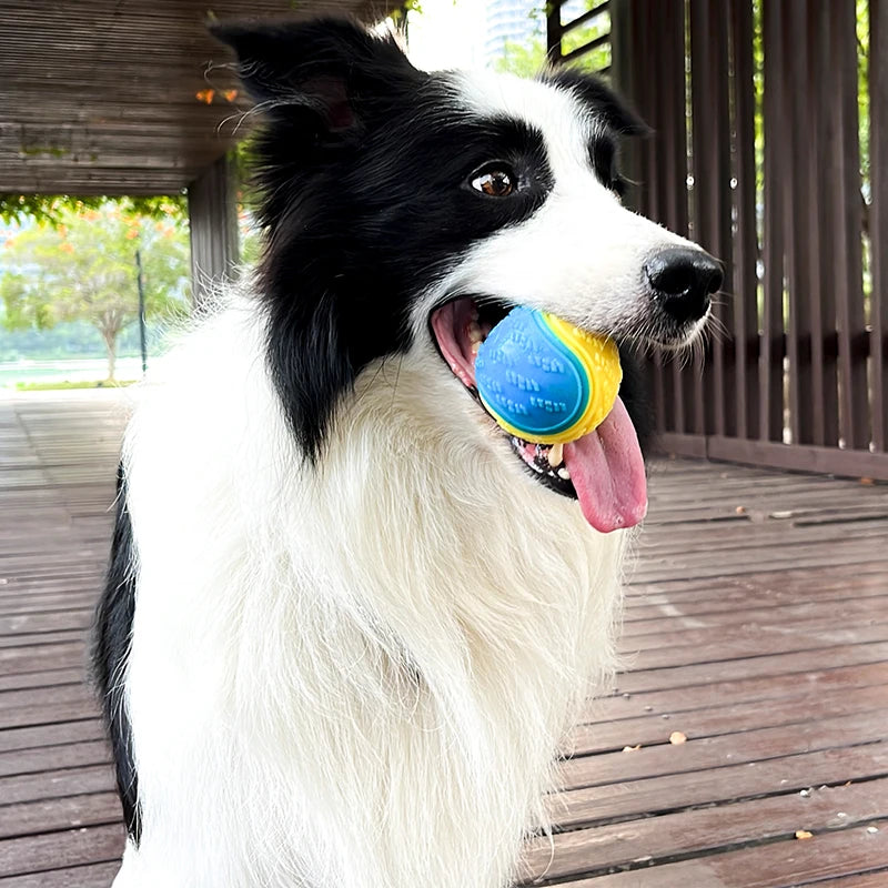 Tooth-Friendly Treat Ball