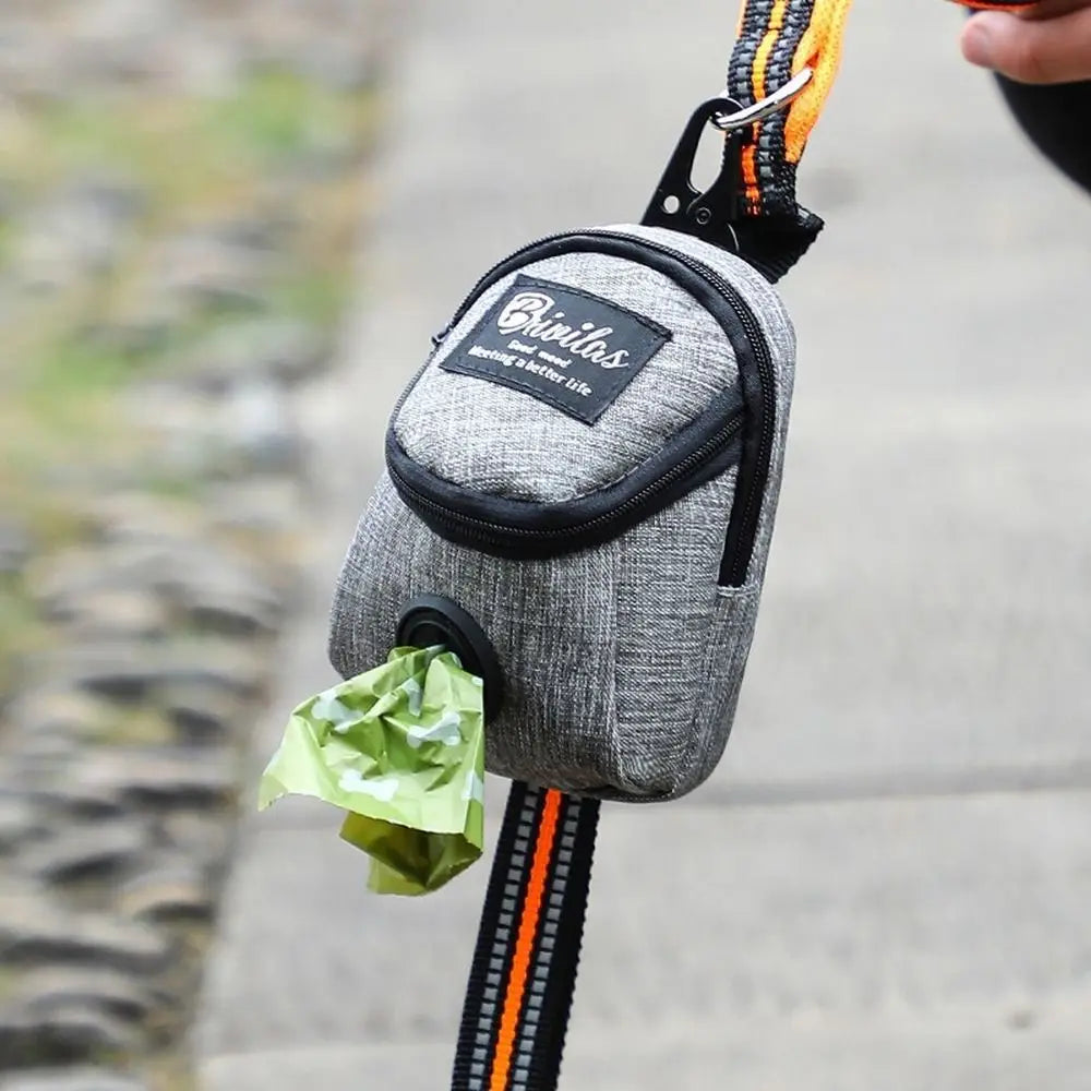 The Ultimate Dog Walking Accessory