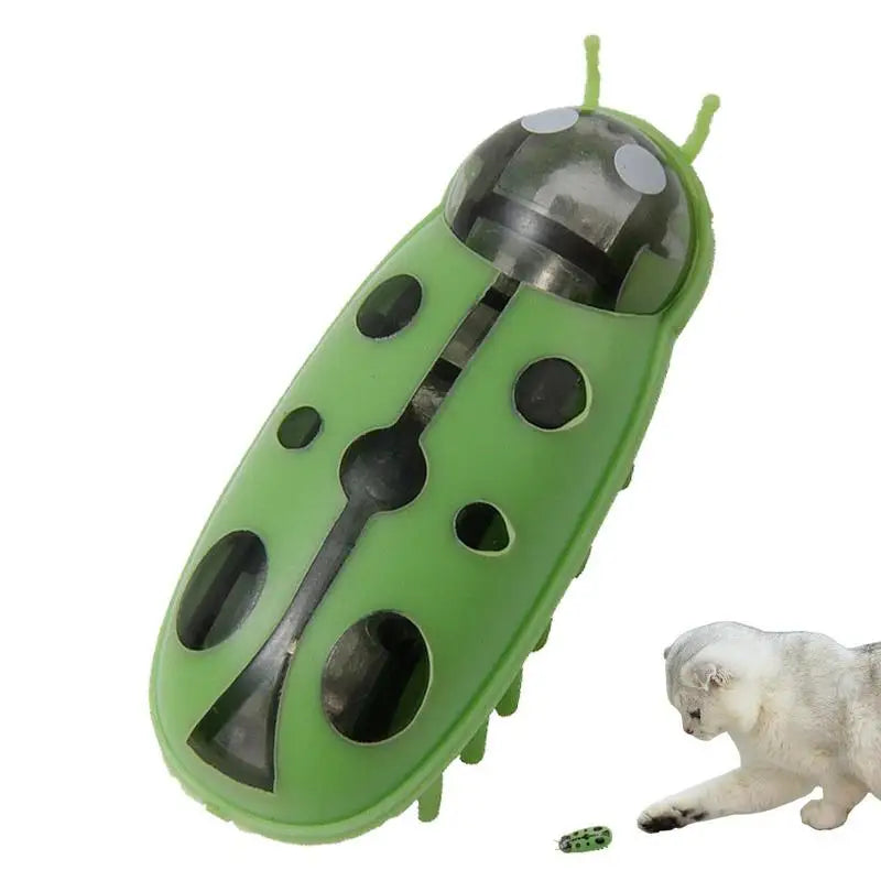 Bug-a-Boom: Fun Play Toy for Cats