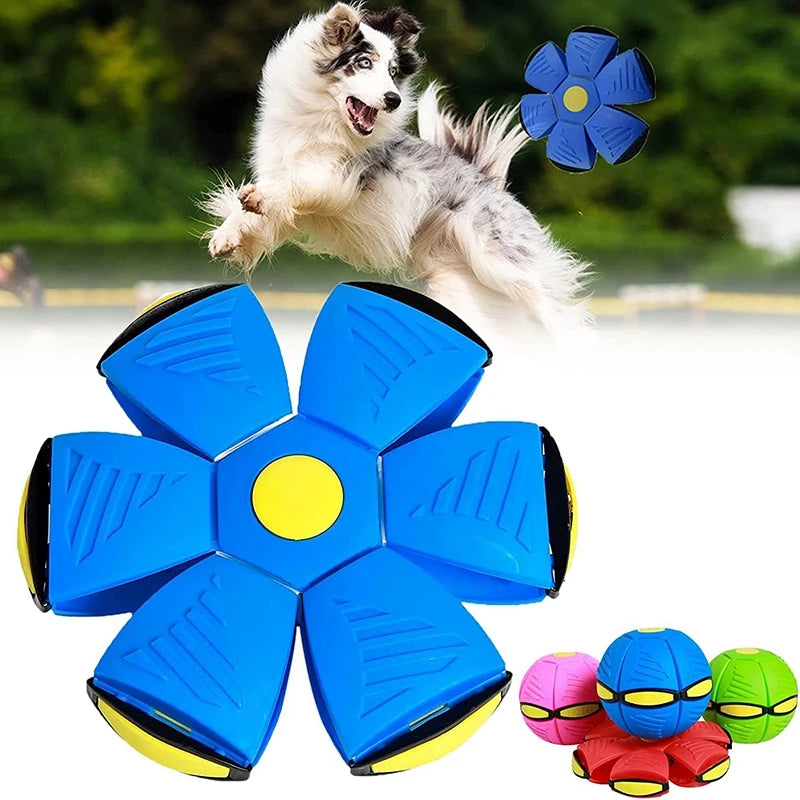 Space Ball: Transformable Flying Disc Dog Toy