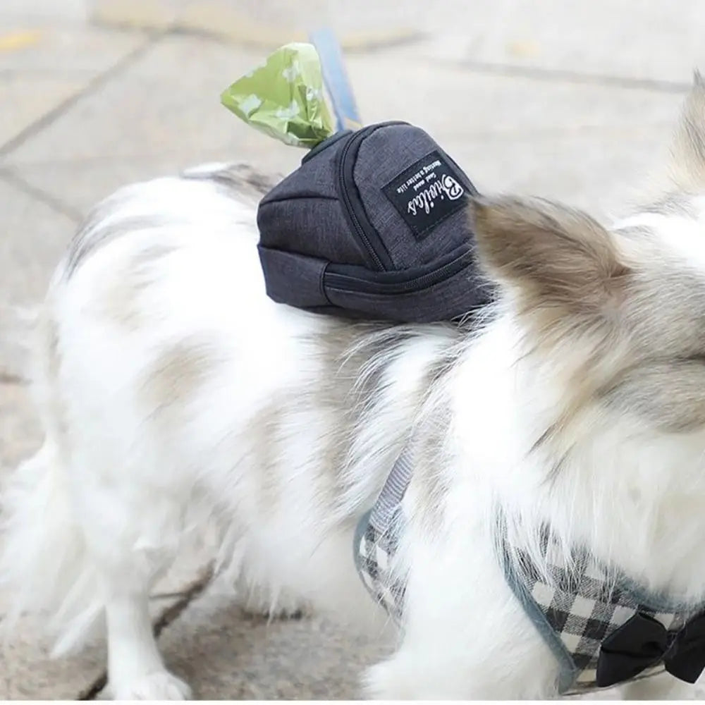 The Ultimate Dog Walking Accessory