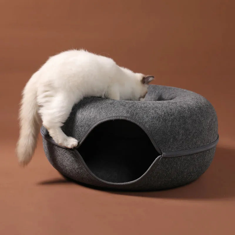 Play & Lounge: Dual-Use Donut Cat Bed and Interactive Tunnel