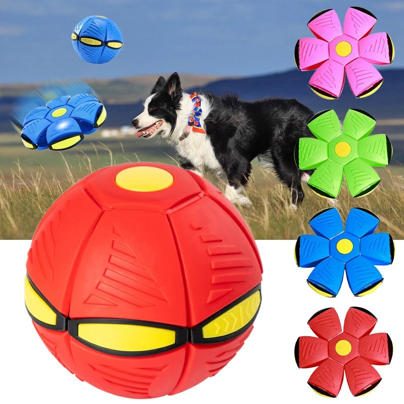 Space Ball: Transformable Flying Disc Dog Toy