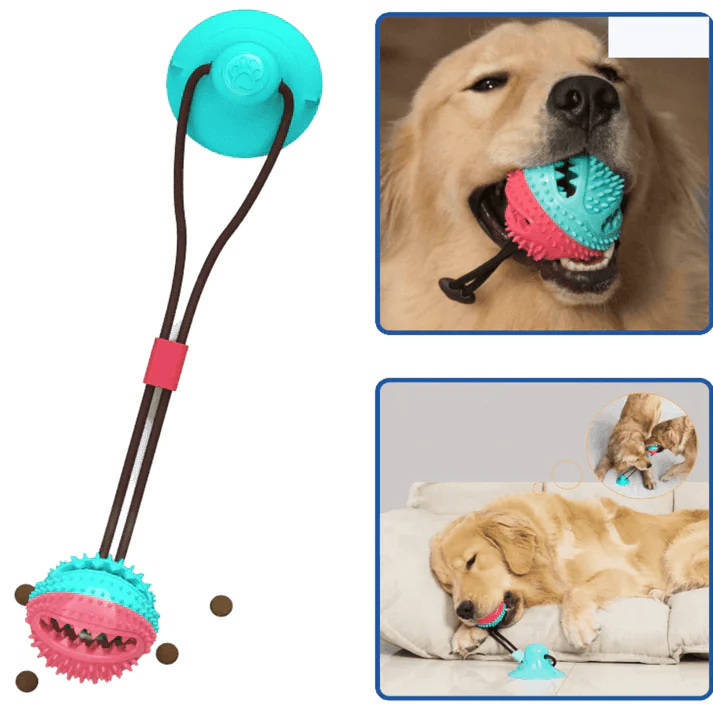 Play Energy: Dog Rope Toy with Attached Suction Cup