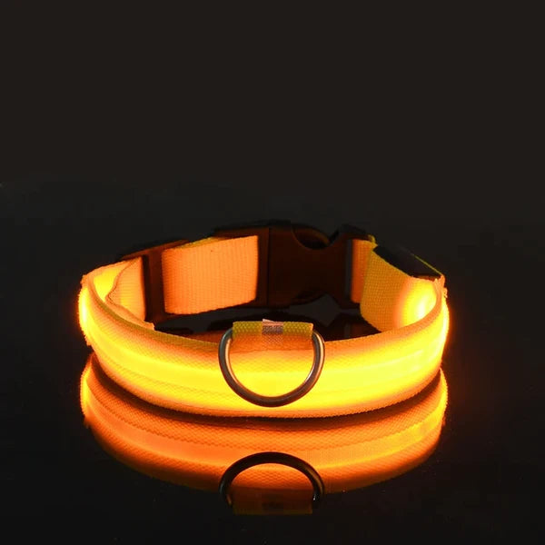 LED Collar For Dogs