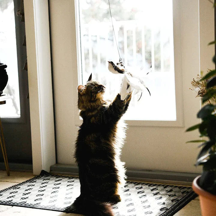 Whisker Whirl: The Twirling Teaser Toy for Cats