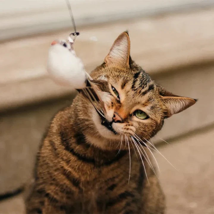 Whisker Whirl: The Twirling Teaser Toy for Cats