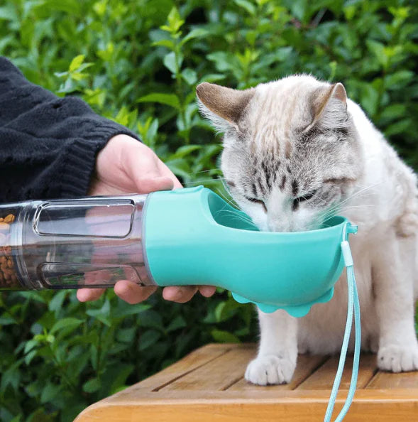 Pet Pal: 3-in-1 Travel Buddy for Your Dog