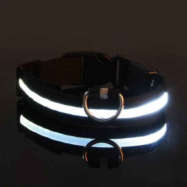 LED Collar For Dogs