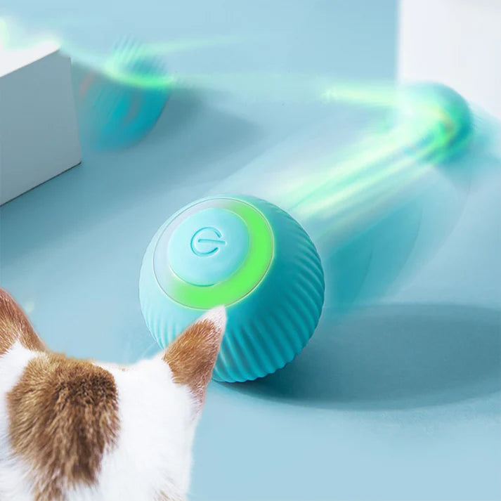 Night Hunter: Interactive Smart Ball for Cats