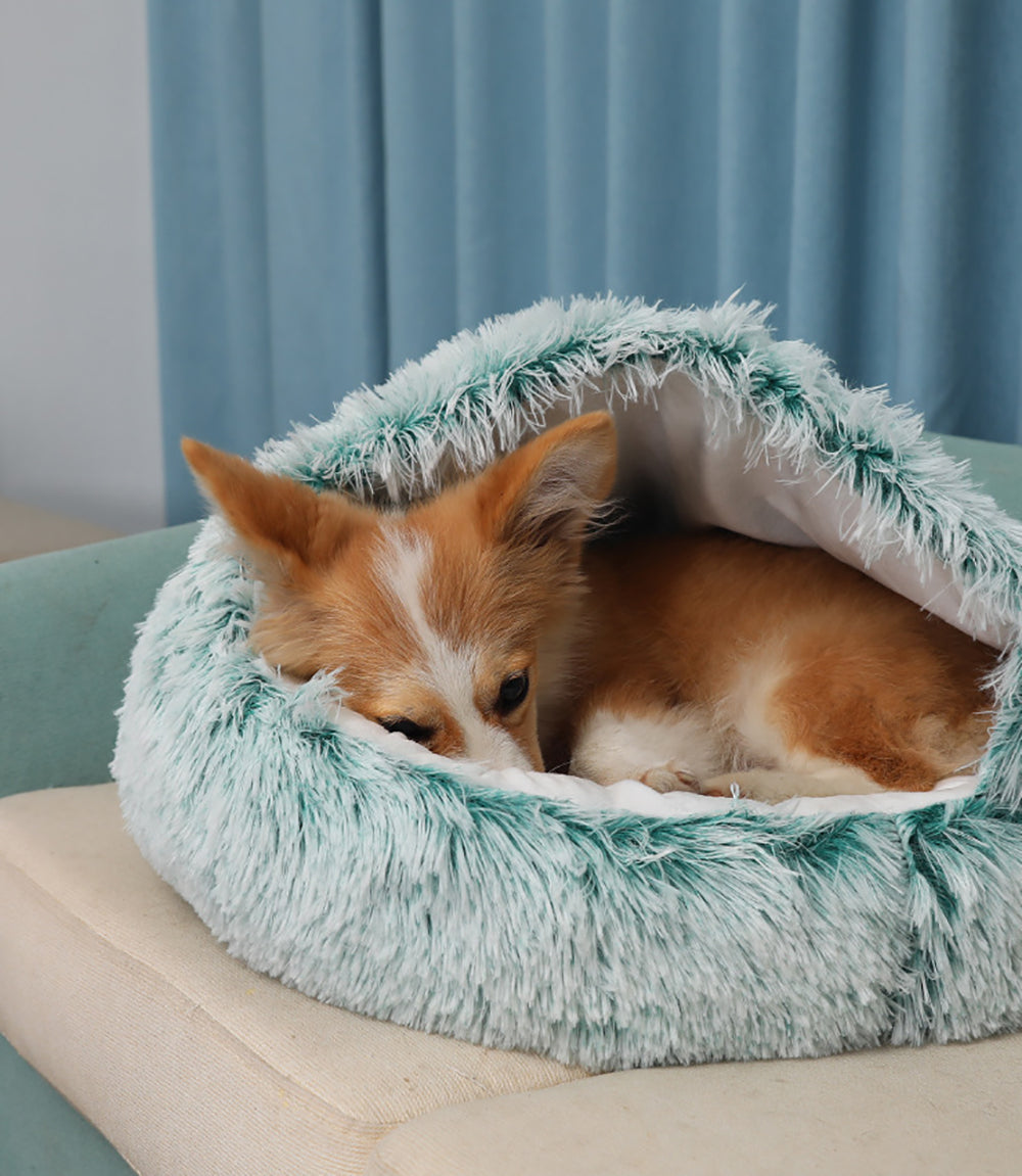 Cozy Haven: Luxurious Long Plush Pet Bed for Cats and Small Dog