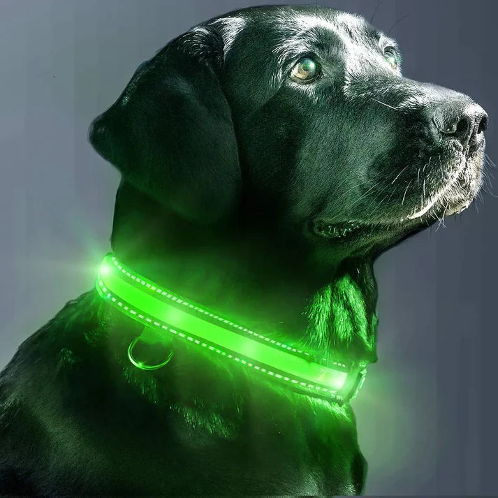 LED Collar For Dogs