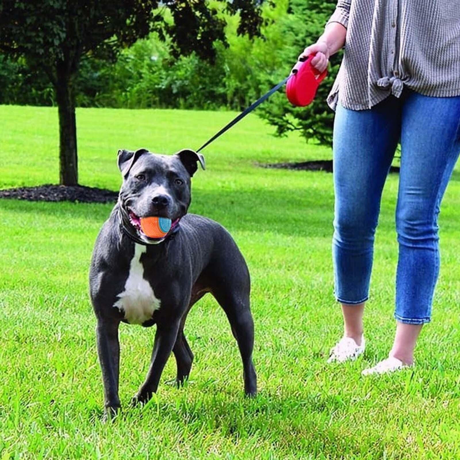 Tooth-Friendly Treat Ball