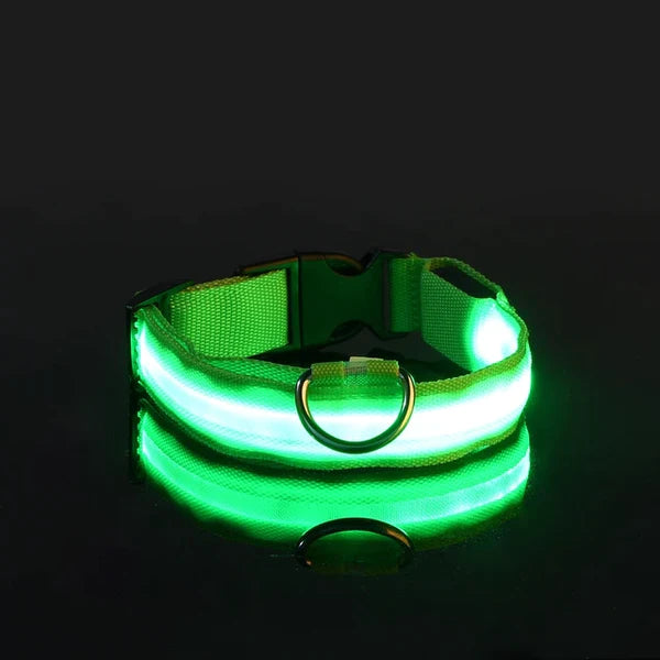 LED Collar For Dogs